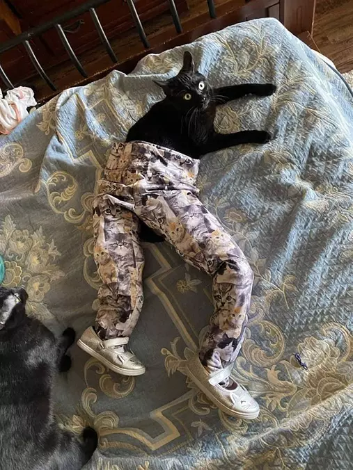 Do You Like My Pants