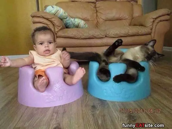 Chillin Out
