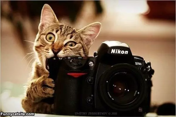 Smiiiiiiile