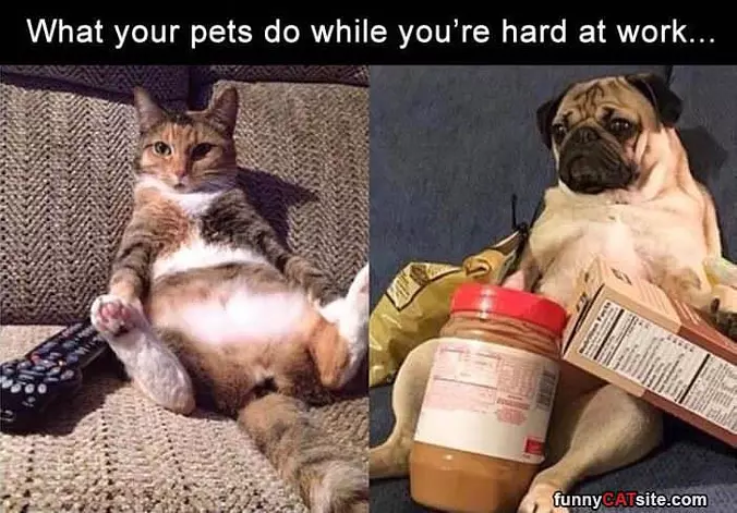 When You Are Hard At Work