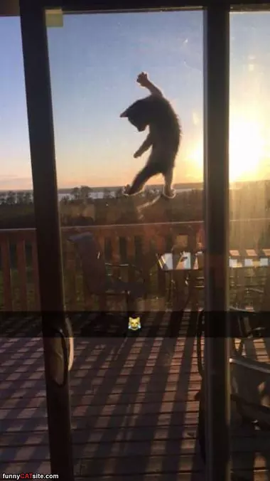 Climbing Out Of Here
