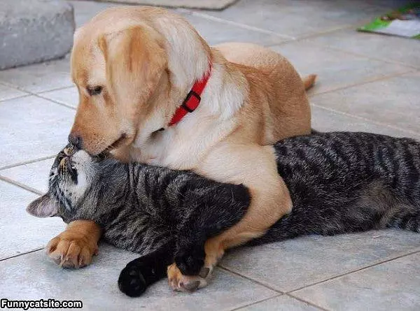 Its Love