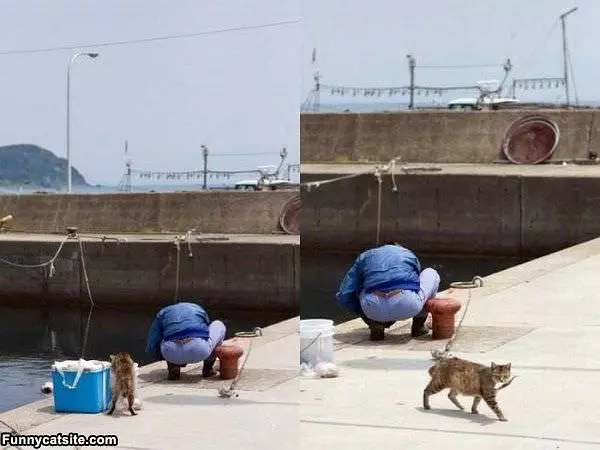 Stealing Fish