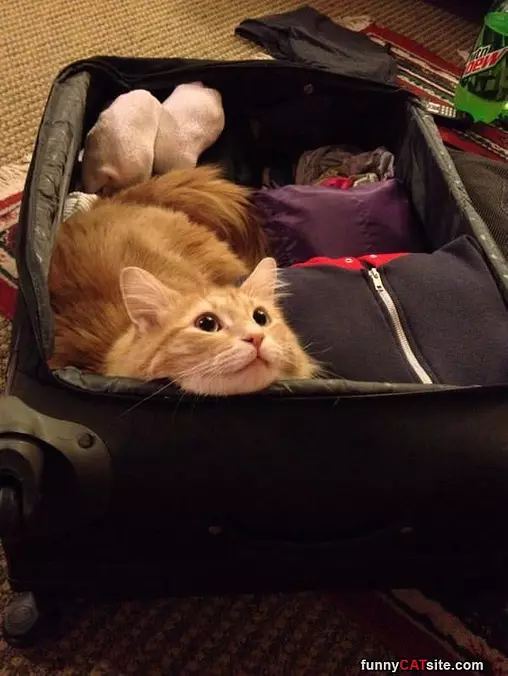 Take Me With You