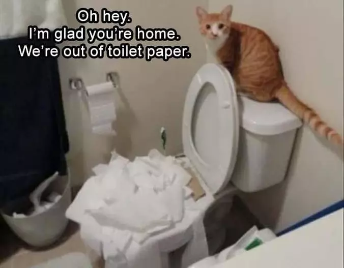 Glad You Are Home