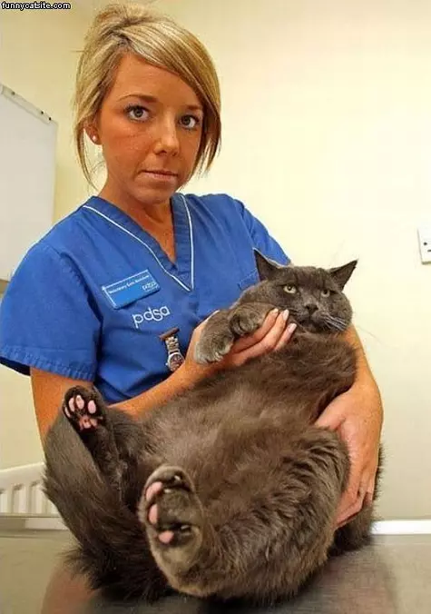 Thats A Really Fat Cat