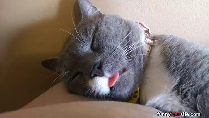 Passed Out Cold