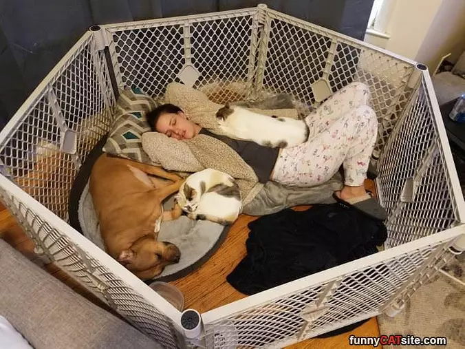 Napping Together