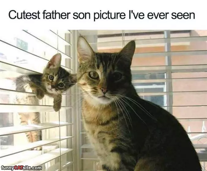 Cutest Father Son