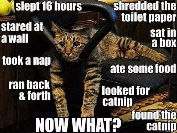 Now What