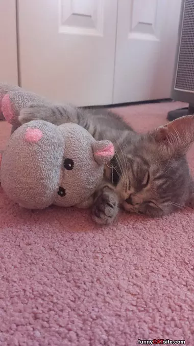 Cuddling Up With My Teddy