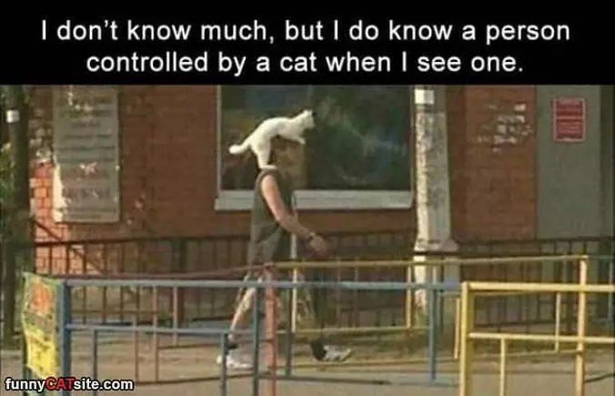 I Dont Know Much