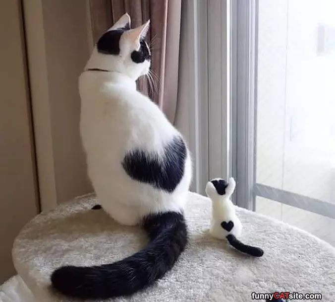 Like Little Me