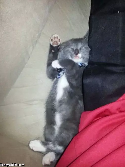 This Is My Place To Sleep