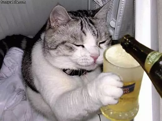 More Beer Please