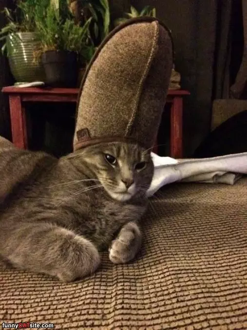 I Am The King Of The Castle