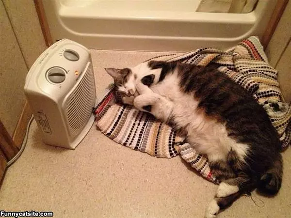 Found The Heater