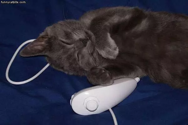 Wii Cat