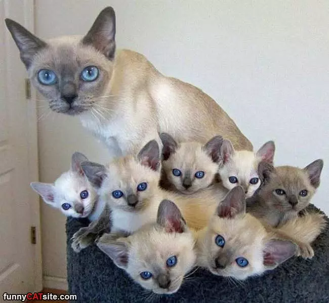 We Are Watching You