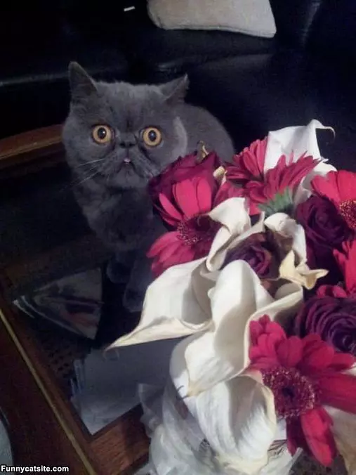 What Is That Smell