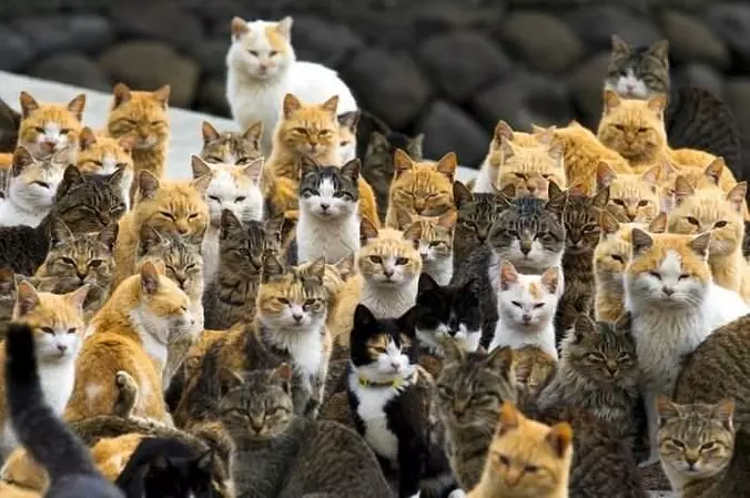 We Are Piling On