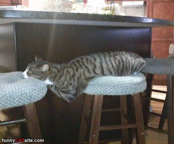 I Am Soooo Relaxed