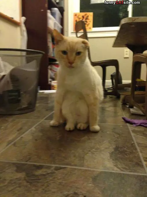 I Sit However I Want