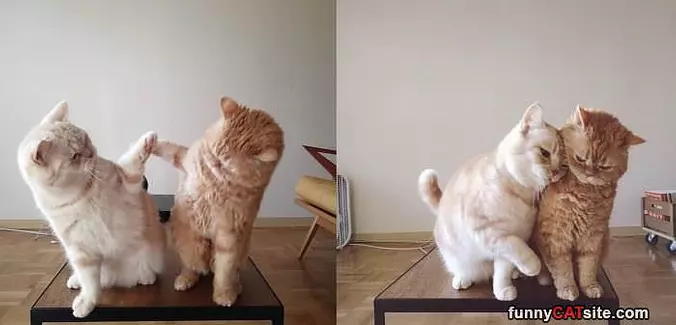 Hey Give Me A Hug