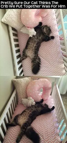 I Am Stuck In Here