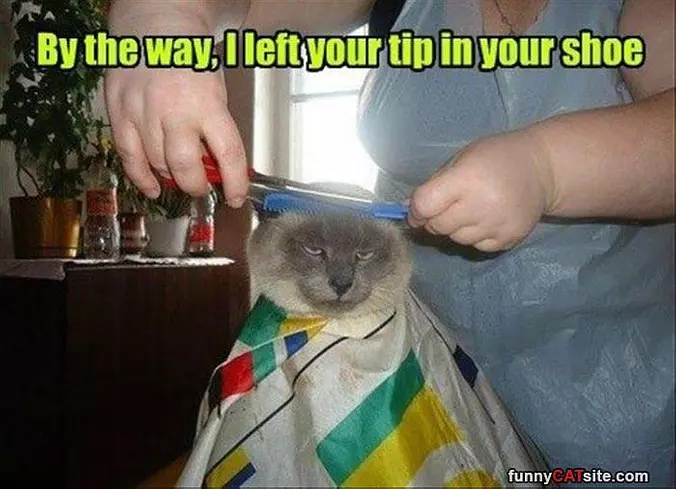 Left You A Tip