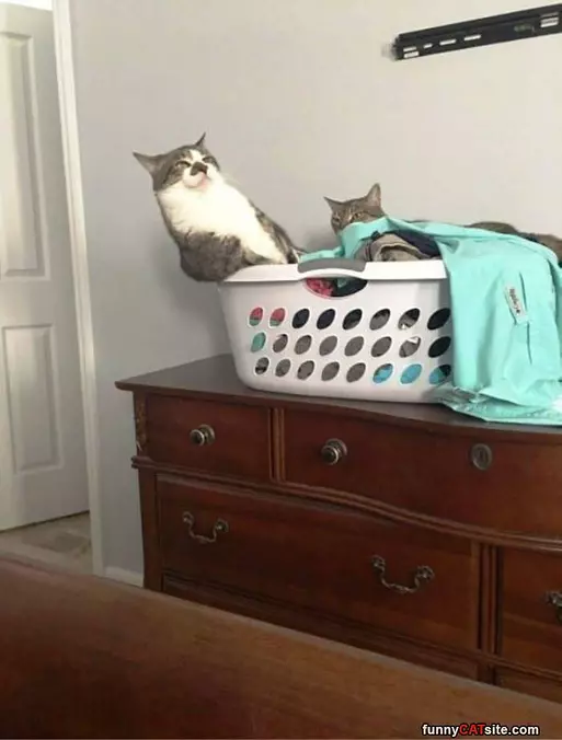 Thinking About Moving