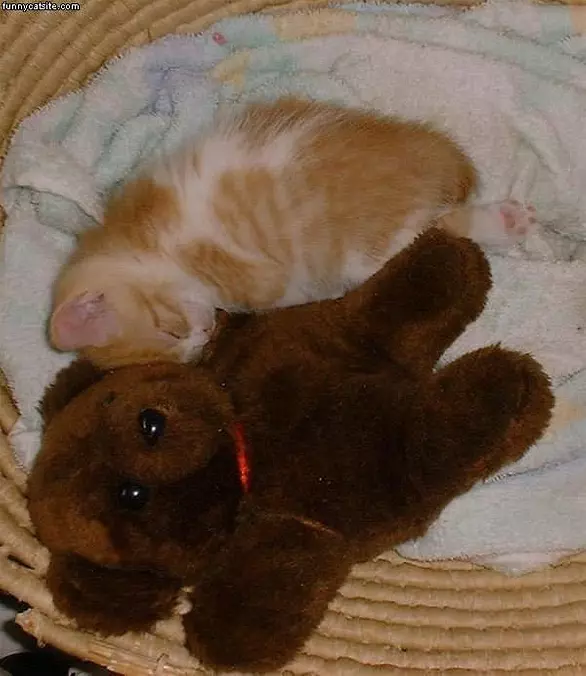 Cuddling