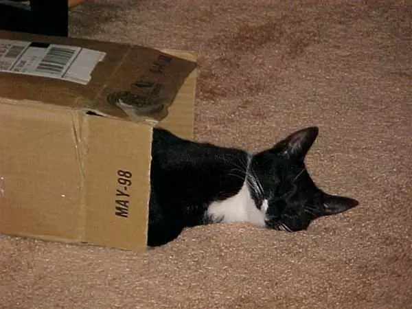My Favorite Box