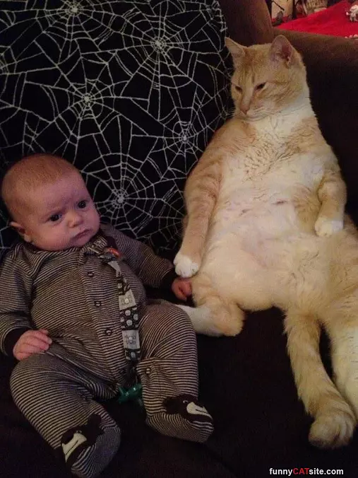Hanging Out