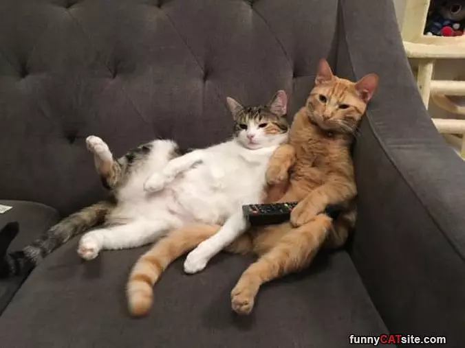 Relaxing And Watching Some Tv