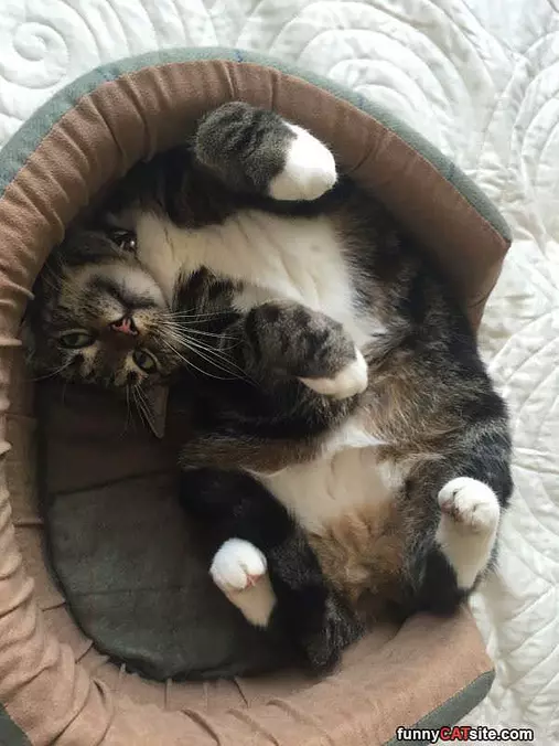 Sitting In My Bed