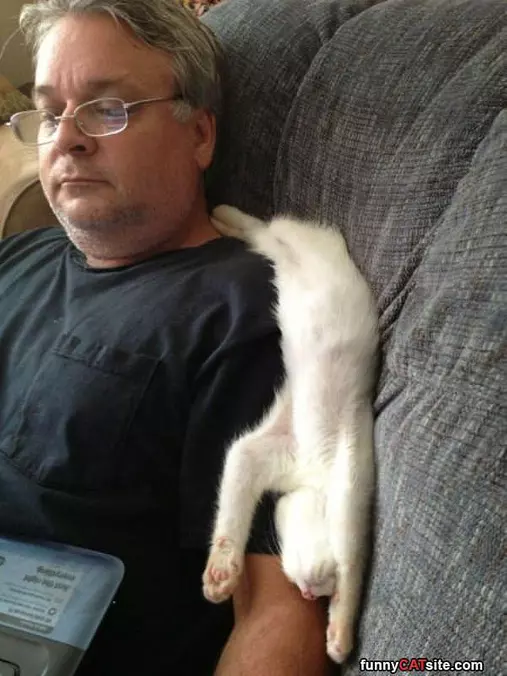 I Will Sleep Here