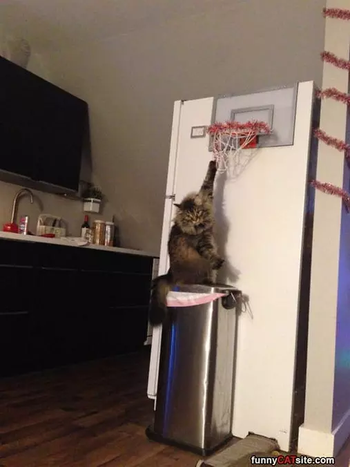 Slam Dunk