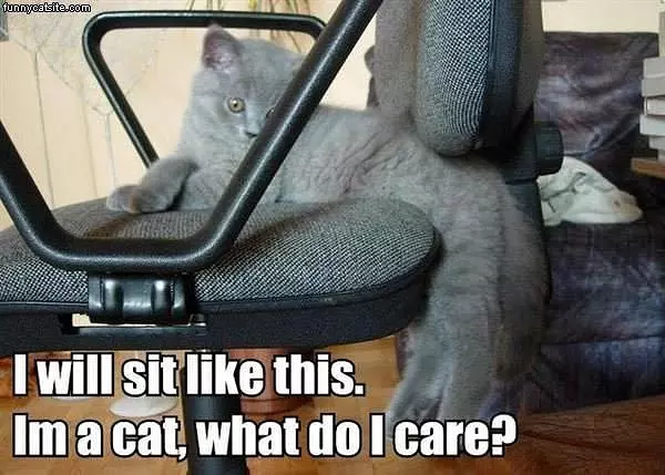 Sit Like This