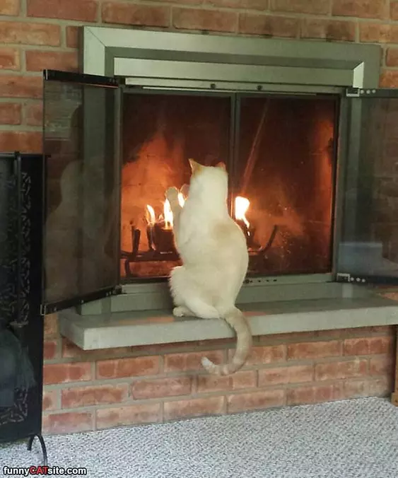 Getting As Warm As Possible