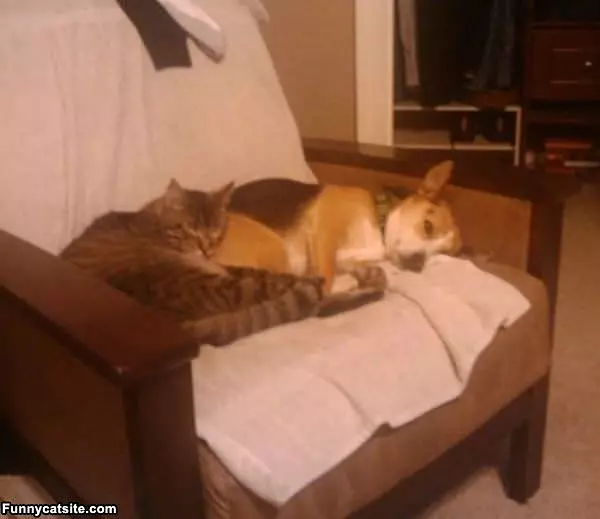 Sharing A Bed