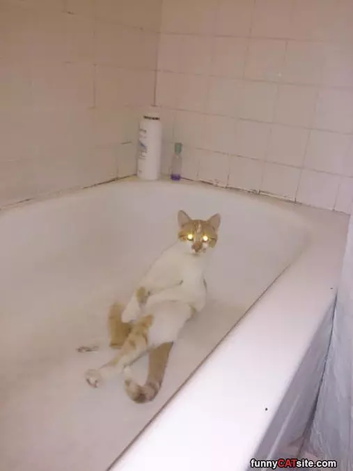 In Da Tub