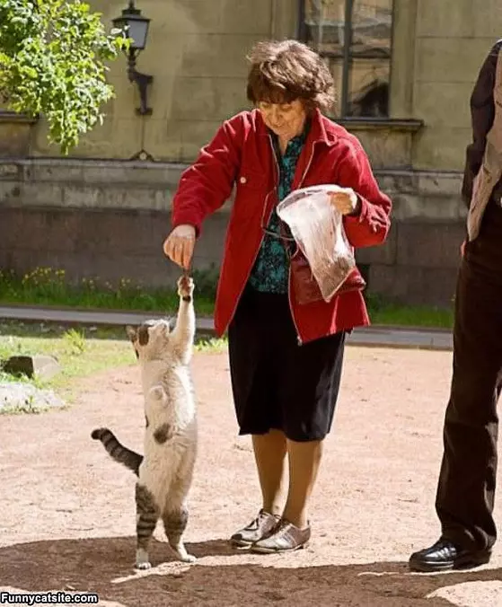 Gimme It Lady