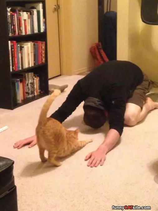 Bowing