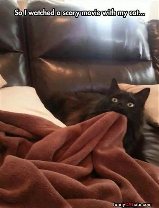 Scary Movie