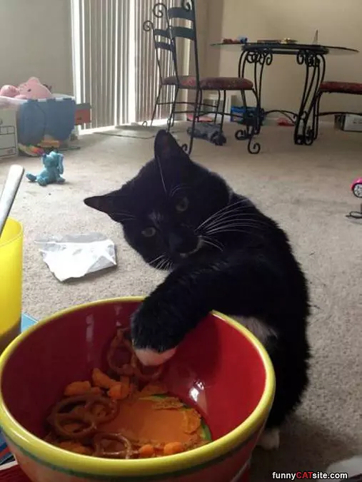 Getting Myself A Snack