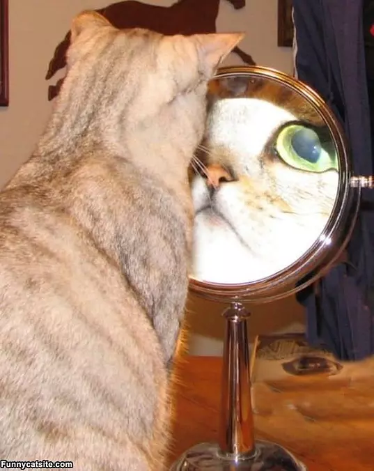 I See Myself