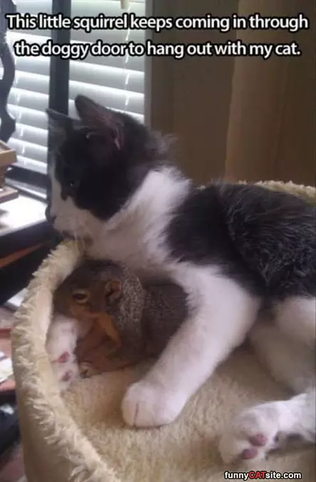 Friends