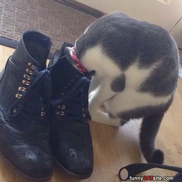 What Is That Smell