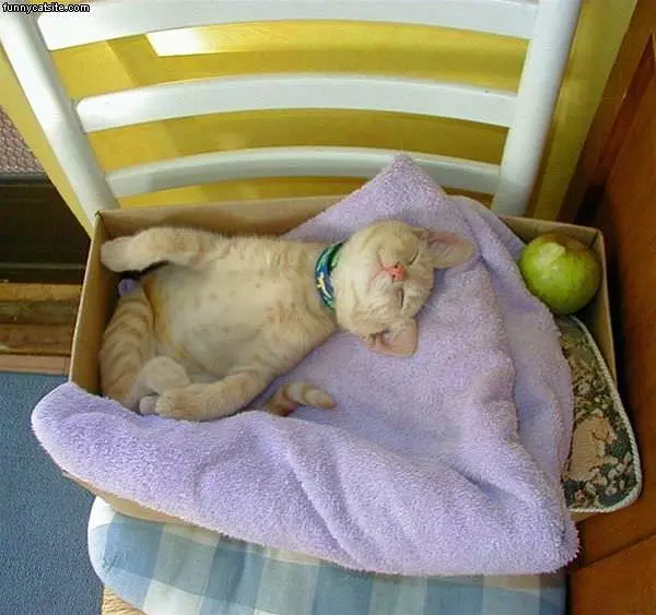 Sleep